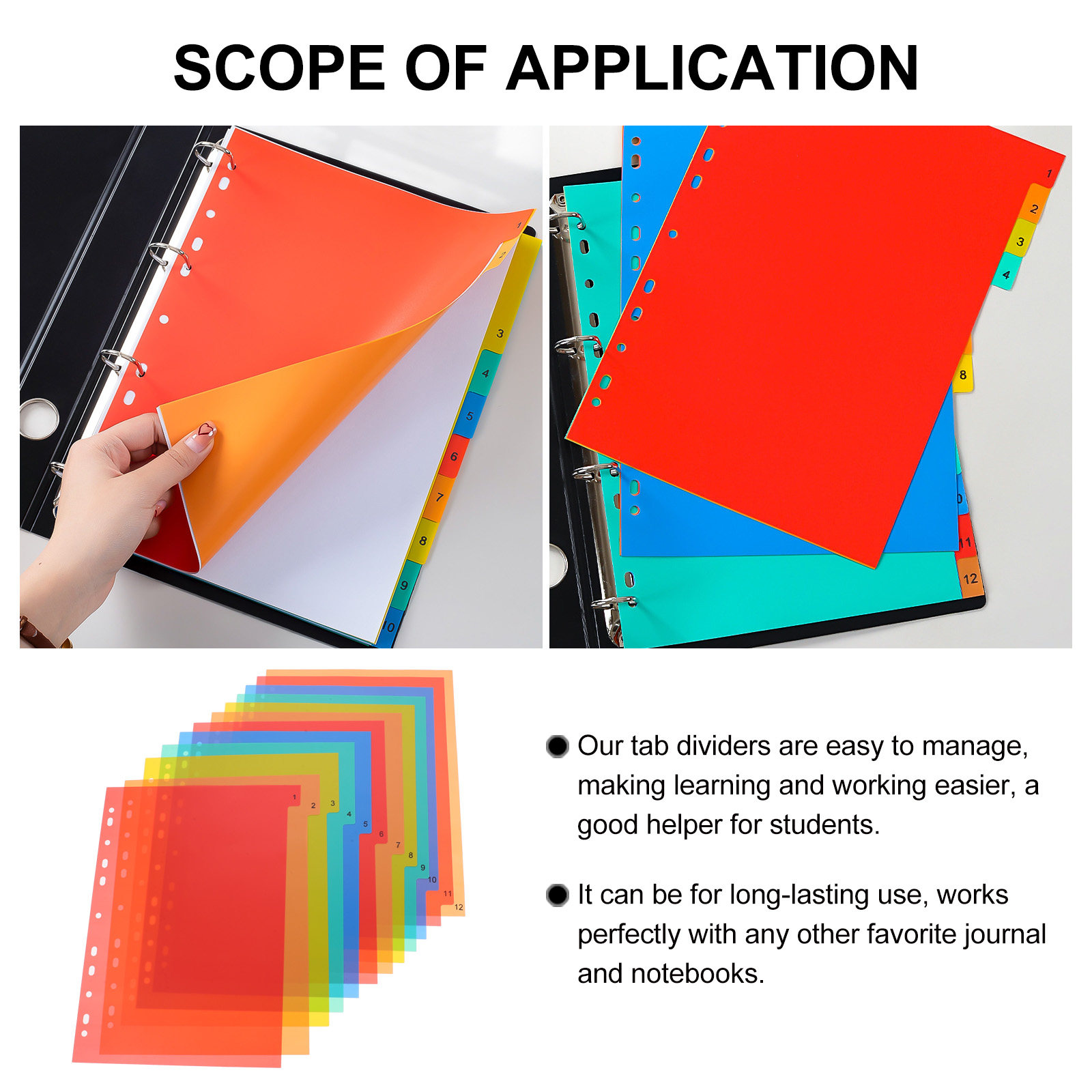 12 ชิ้น แผ่นคั่นหน้า A4 11 รู  - Tab Divider A4 บทวิจารณ์และราคา