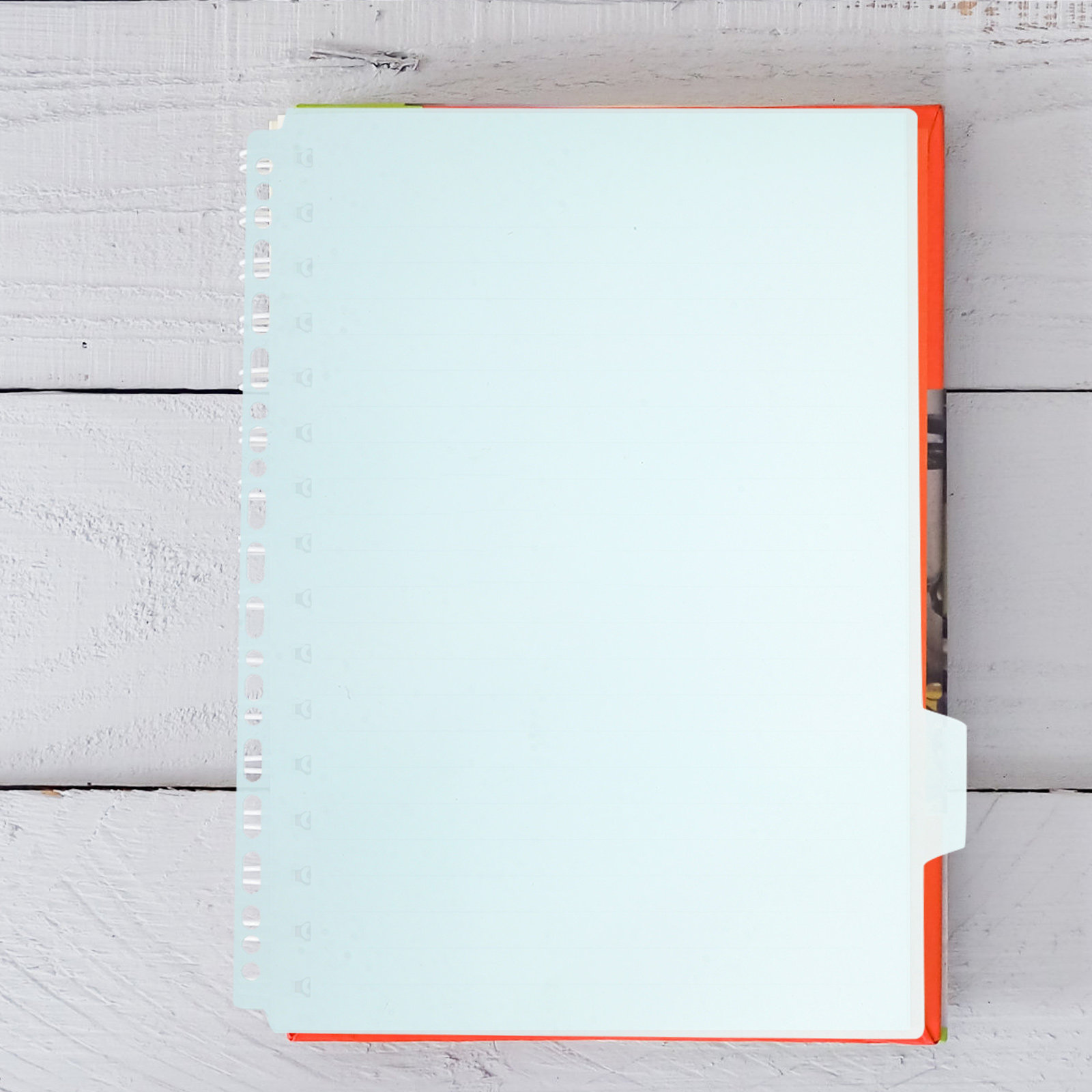 6 ชิ้น แผ่นคั่นแฟ้มแบบมีแถบ ขน - Tab Divider A4 บทวิจารณ์และราคา