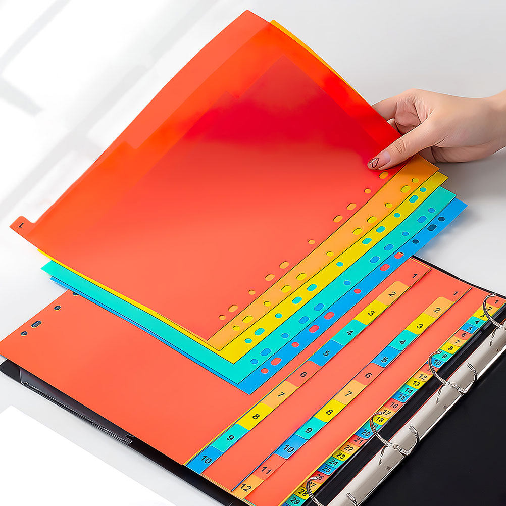 2 ชุด ตัวแบ่งหน้ากระดาษพลาสติก - Tab Divider A4 บทวิจารณ์และราคา