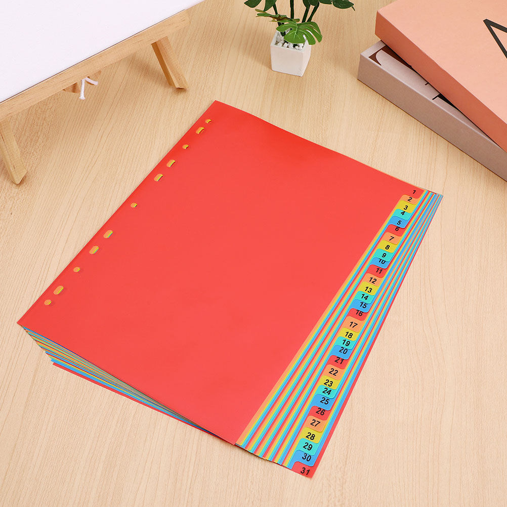2 ชุด แผ่นคั่นหน้าพลาสติก A4 พ - Tab Divider A4 บทวิจารณ์และราคา
